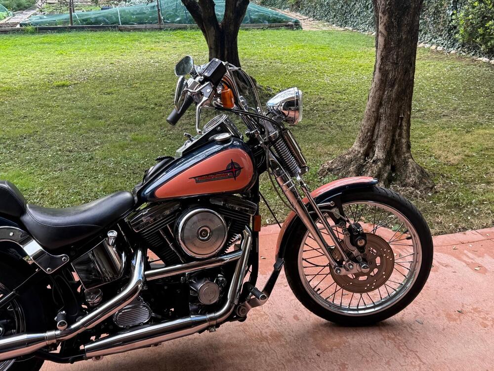 Harley-Davidson 1340 Springer (1990 - 98) - FXSTS (4)