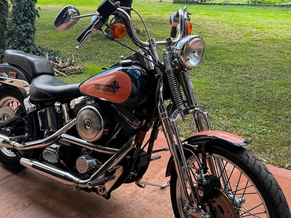 Harley-Davidson 1340 Springer (1990 - 98) - FXSTS (5)