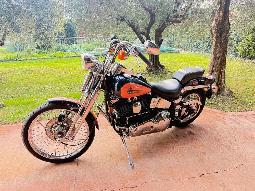 Harley-Davidson 1340 Springer (1990 - 98) - FXSTS (13)