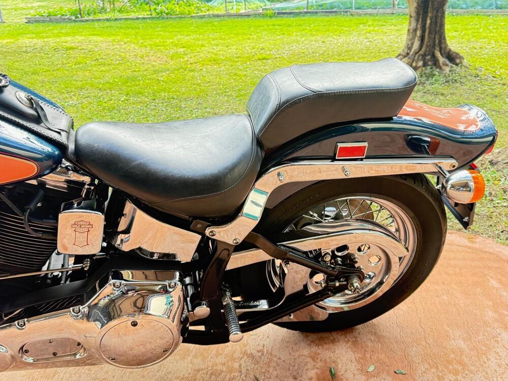 Harley-Davidson 1340 Springer (1990 - 98) - FXSTS (15)