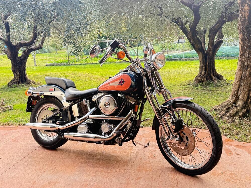 Harley-Davidson 1340 Springer (1990 - 98) - FXSTS (16)