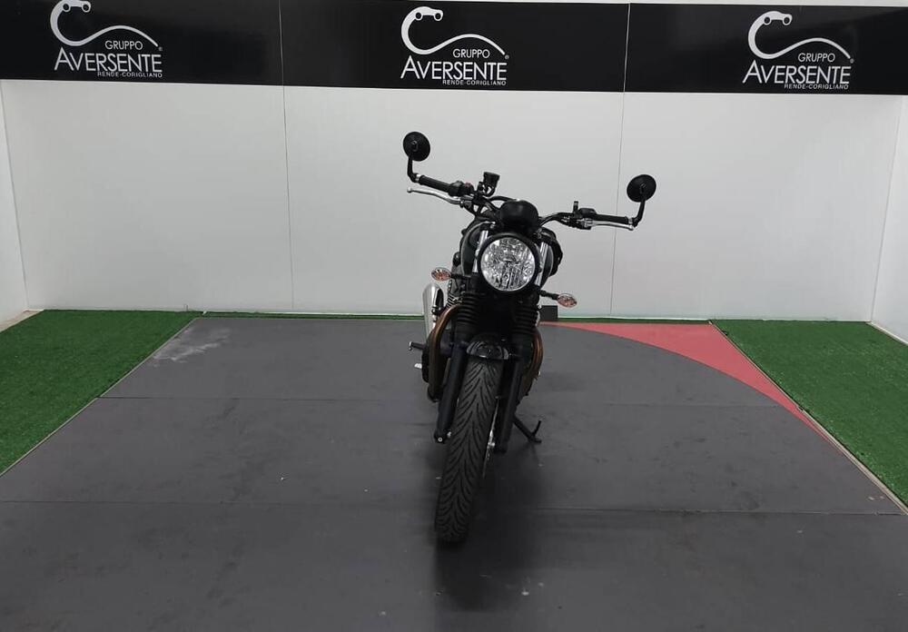 Triumph Speed Twin 900 (2023 - 24) (4)