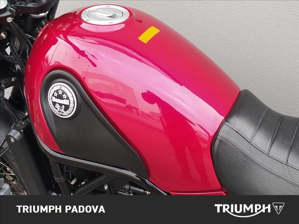 Benelli Leoncino 500 Trail ABS (2017 - 20) (9)