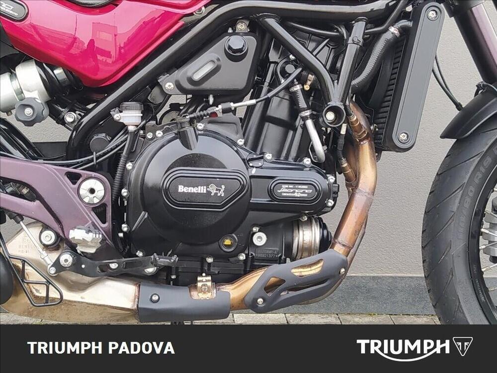 Benelli Leoncino 500 Trail ABS (2017 - 20) (3)