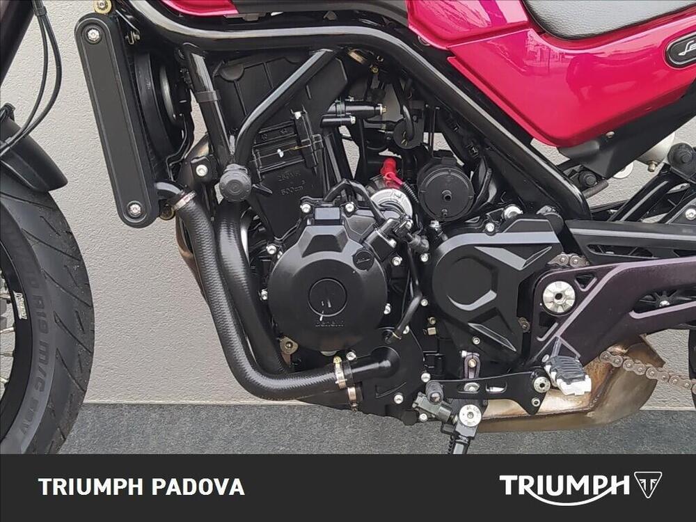 Benelli Leoncino 500 Trail ABS (2017 - 20) (8)