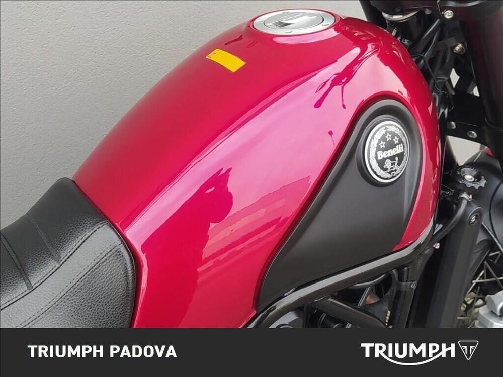 Benelli Leoncino 500 Trail ABS (2017 - 20) (4)