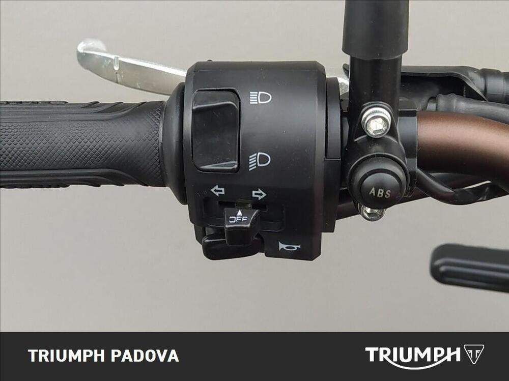 Benelli Leoncino 500 Trail ABS (2017 - 20) (12)