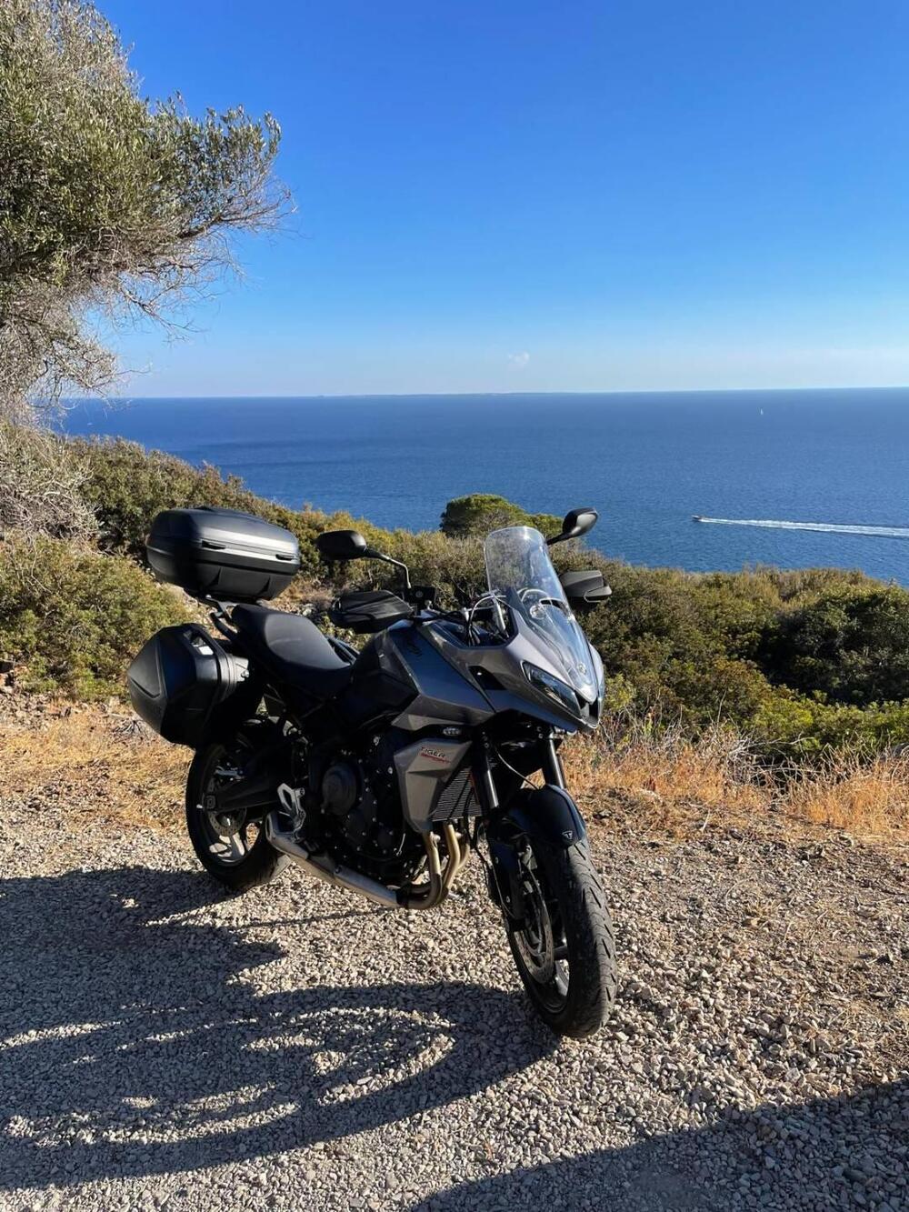 Triumph Tiger Sport 660 (2022 - 24) (3)