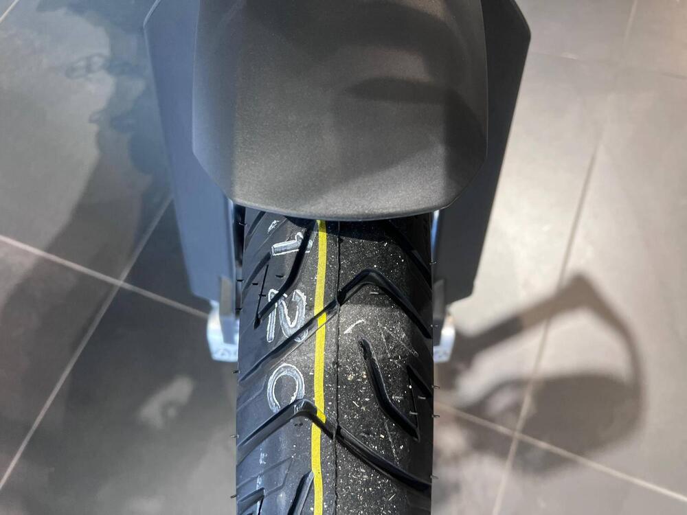 Bmw F 900 GS (2024 - 26) (14)