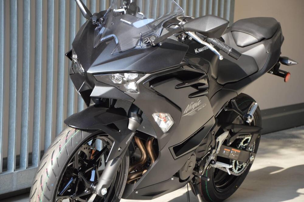 Kawasaki Ninja 500 (2024 - 26) (10)