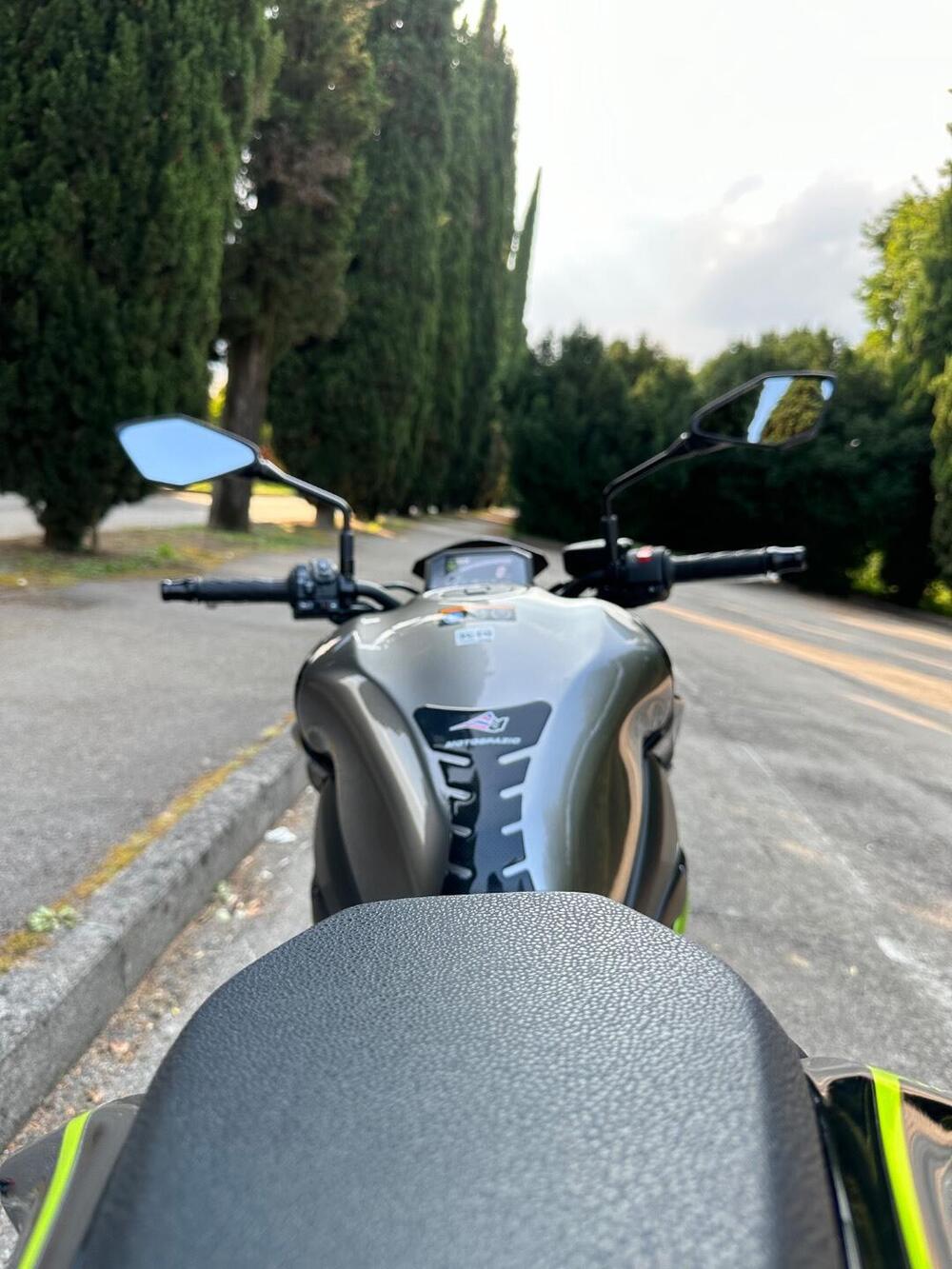 Kawasaki Z 900 A2 (2020) (11)