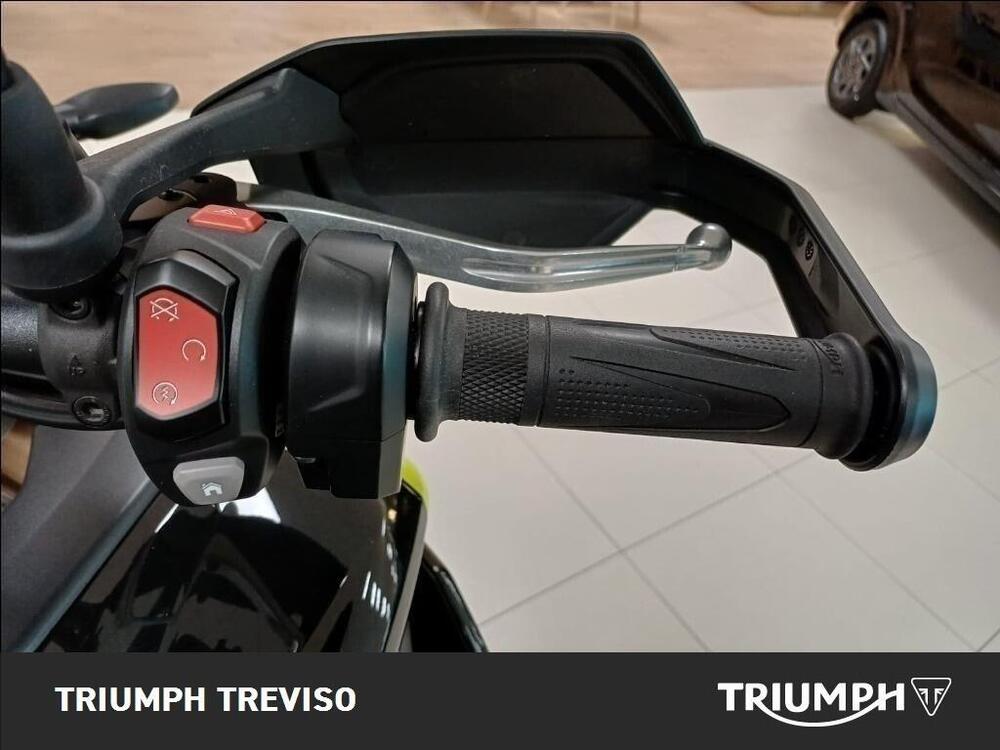 Triumph Tiger 900 Rally Pro (2024 - 26) (6)