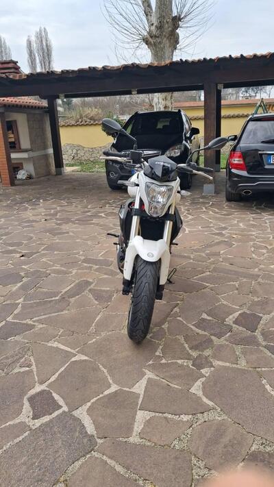 Benelli BN 302 (2014 - 16) usata