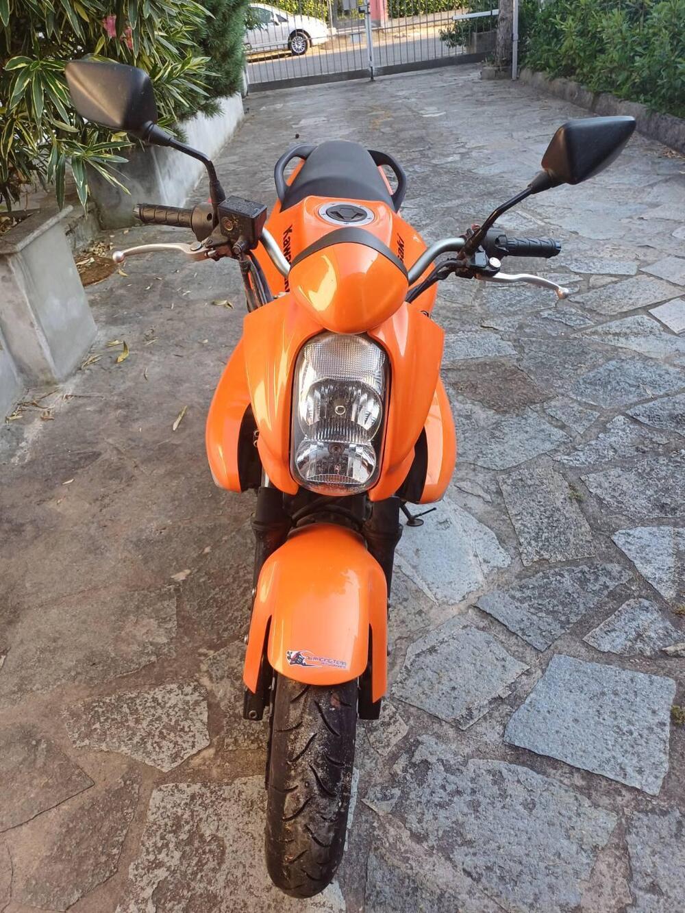 Kawasaki ER-6N (2006 - 09) (2)