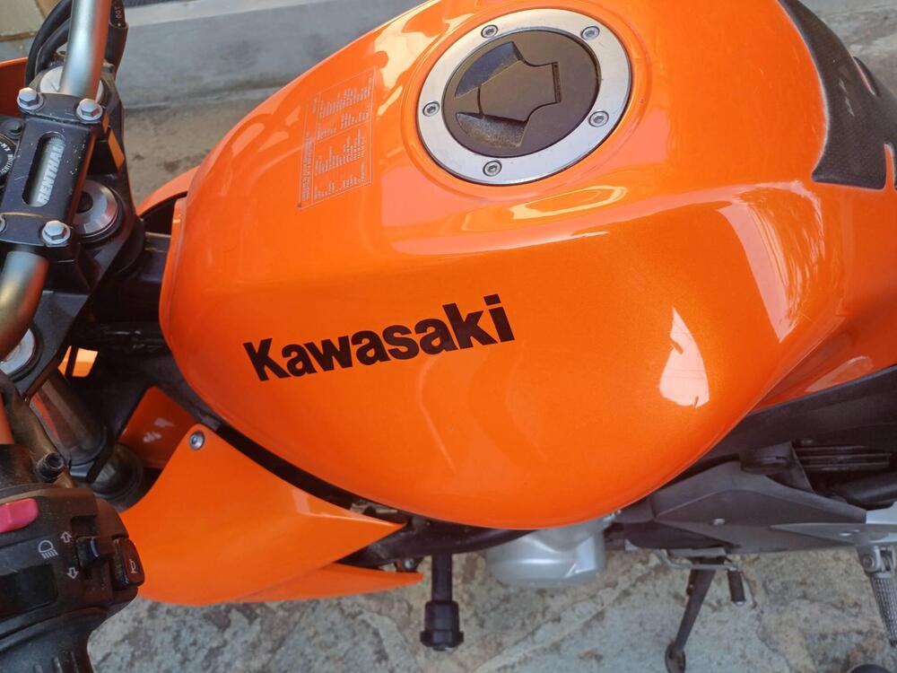 Kawasaki ER-6N (2006 - 09) (4)