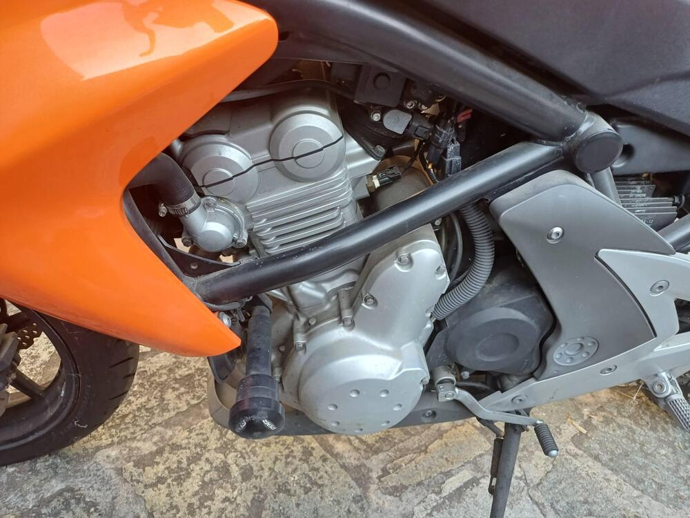 Kawasaki ER-6N (2006 - 09) (6)