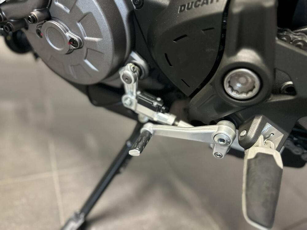 Ducati Monster 821 (2018 - 20) (7)