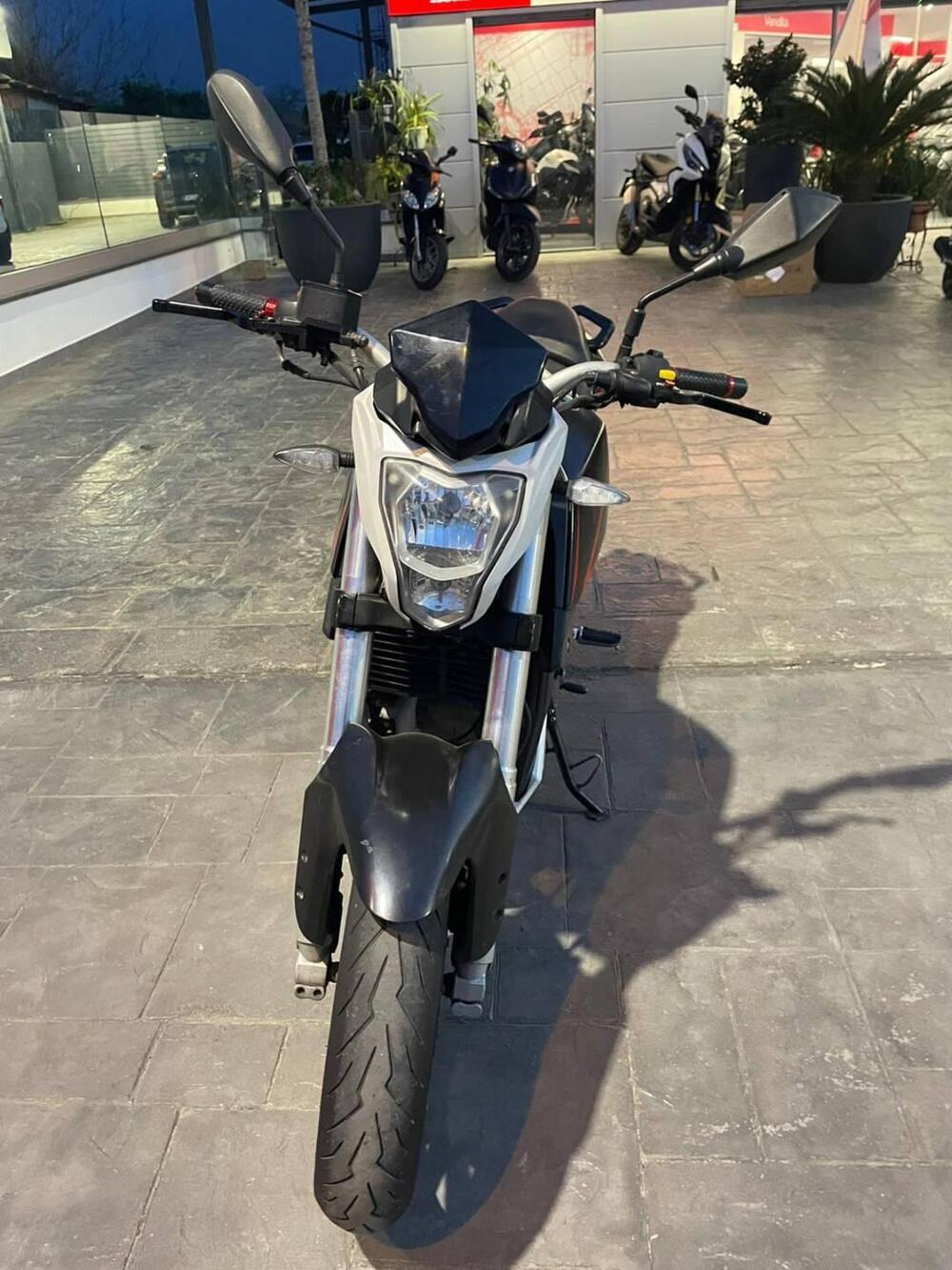 Benelli BN 251 (2017 - 20)