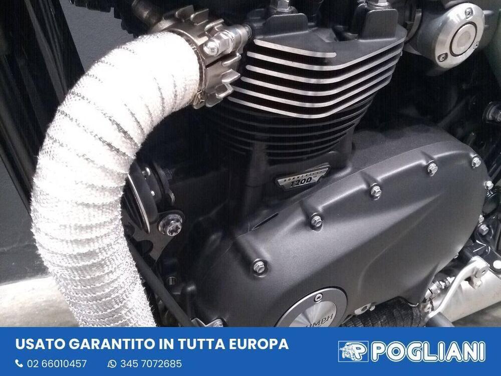 Triumph Speed Twin 1200 (2019 - 20) (10)