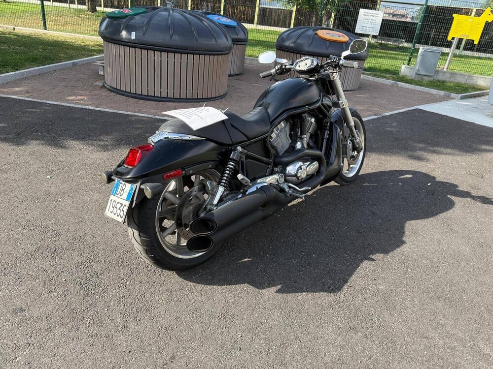 Harley-Davidson 1250 Street Rod (2005 - 06) - VRSCR (6)