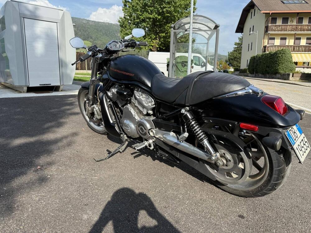 Harley-Davidson 1250 Street Rod (2005 - 06) - VRSCR (7)