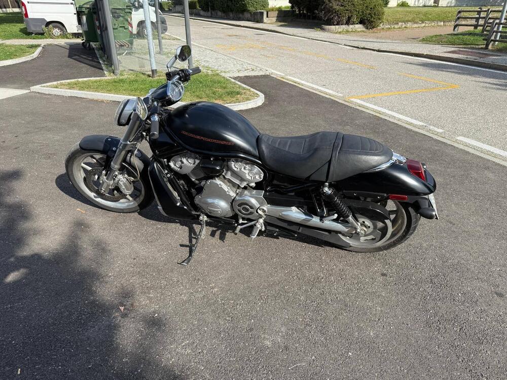 Harley-Davidson 1250 Street Rod (2005 - 06) - VRSCR (11)