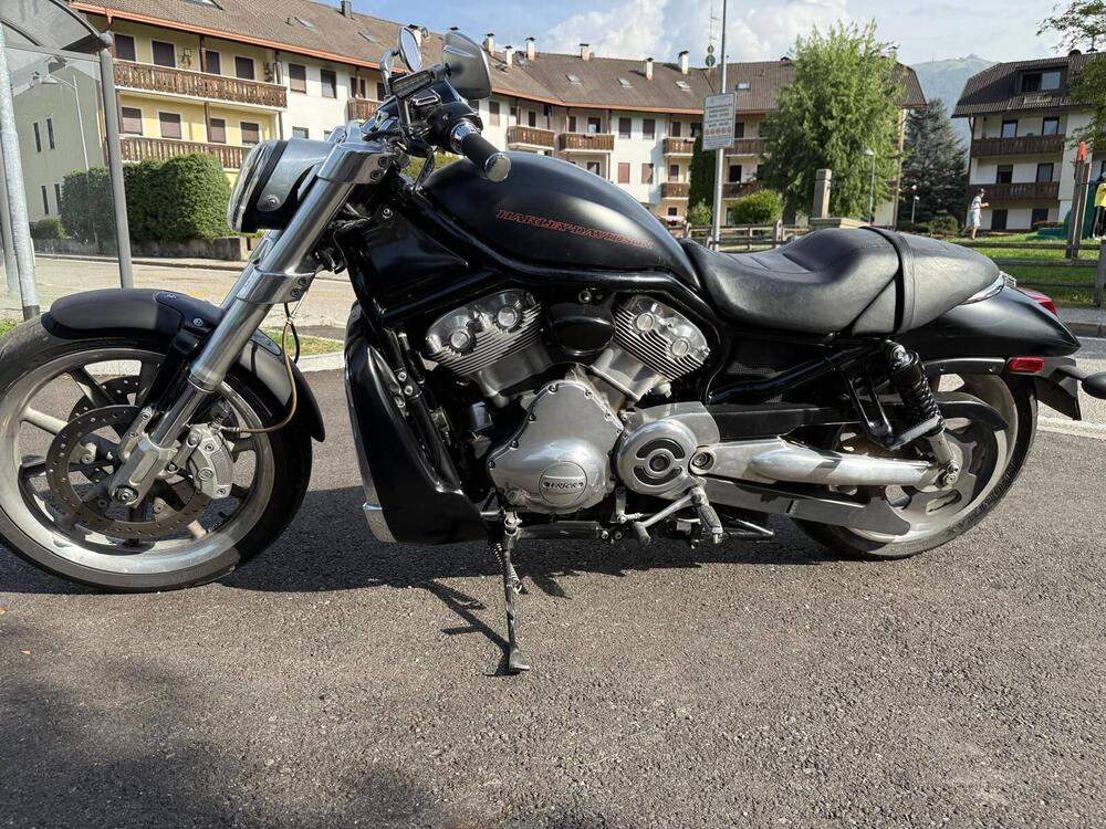 Harley-Davidson 1250 Street Rod (2005 - 06) - VRSCR (3)