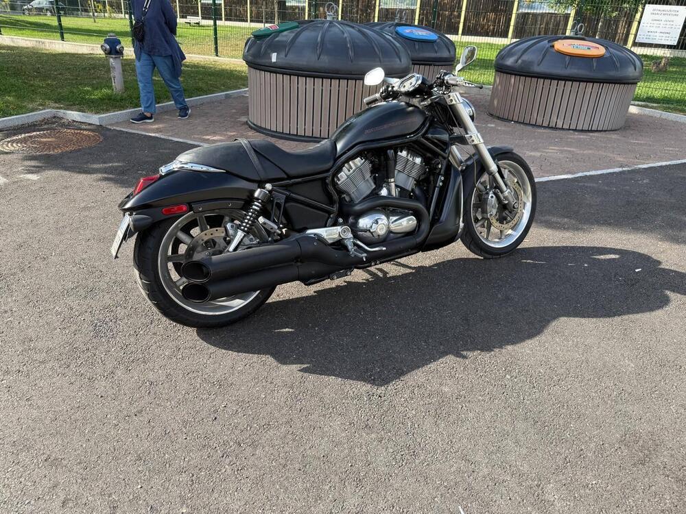 Harley-Davidson 1250 Street Rod (2005 - 06) - VRSCR (16)