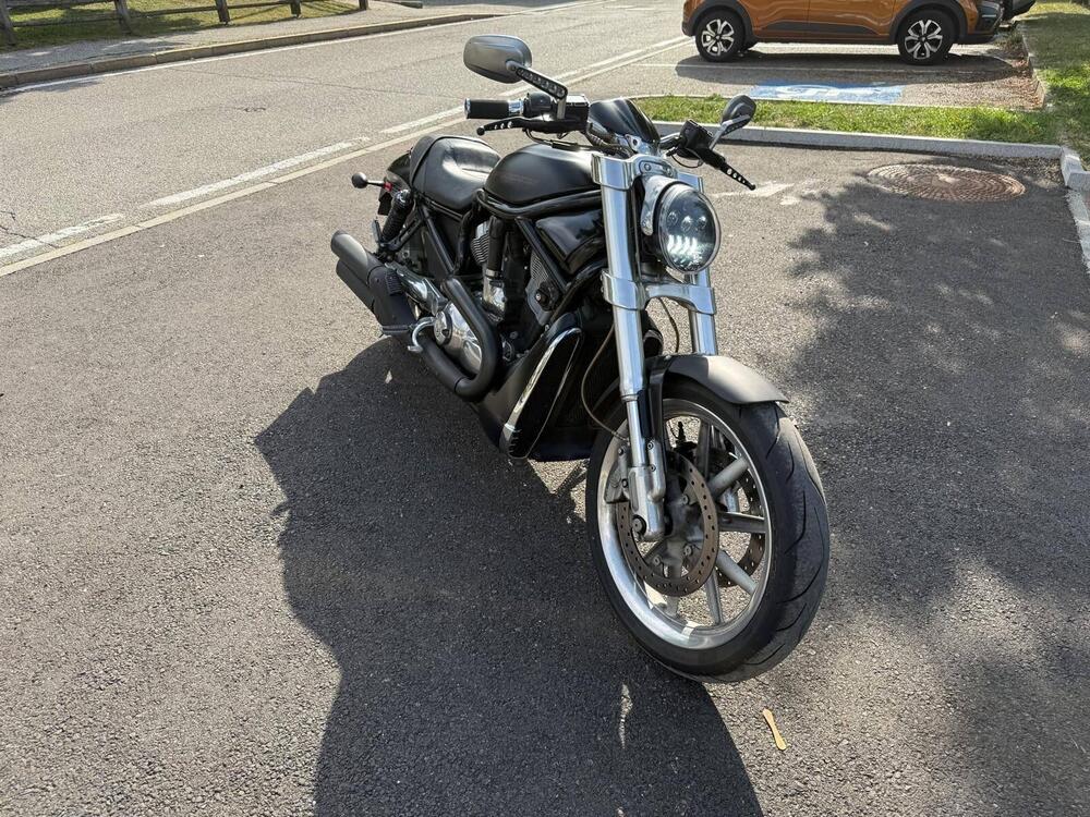 Harley-Davidson 1250 Street Rod (2005 - 06) - VRSCR (19)