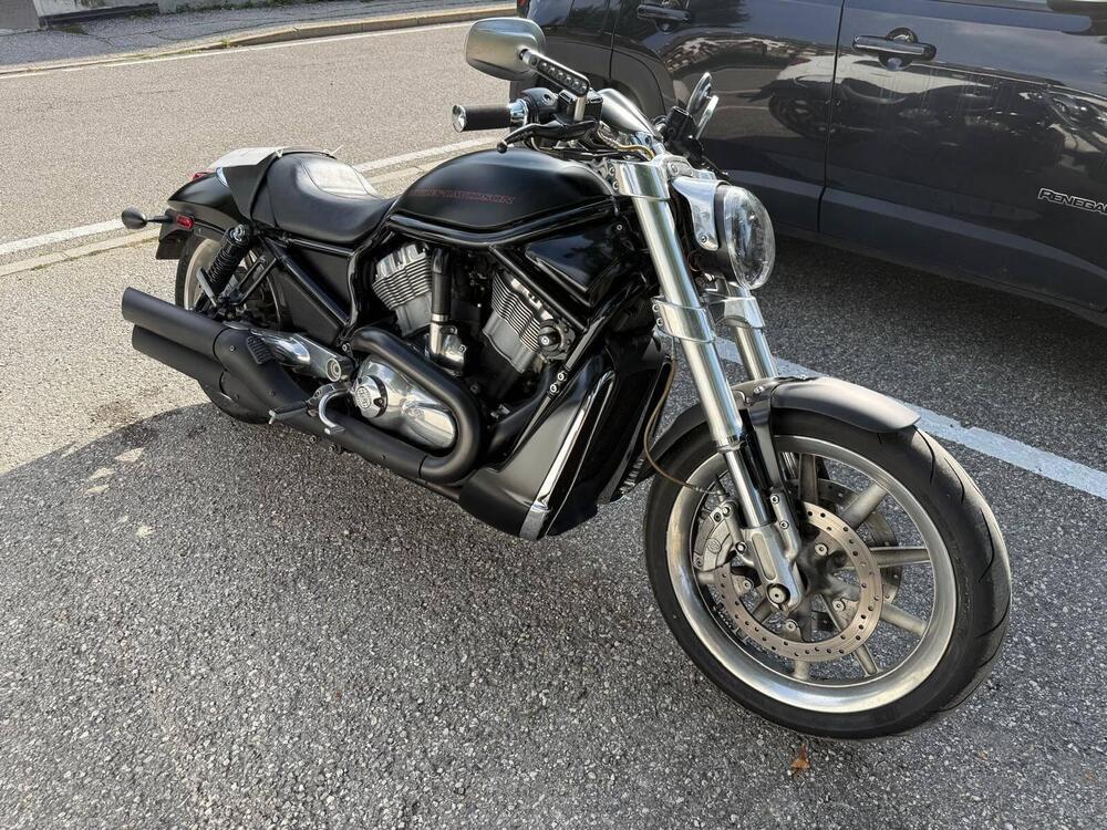 Harley-Davidson 1250 Street Rod (2005 - 06) - VRSCR