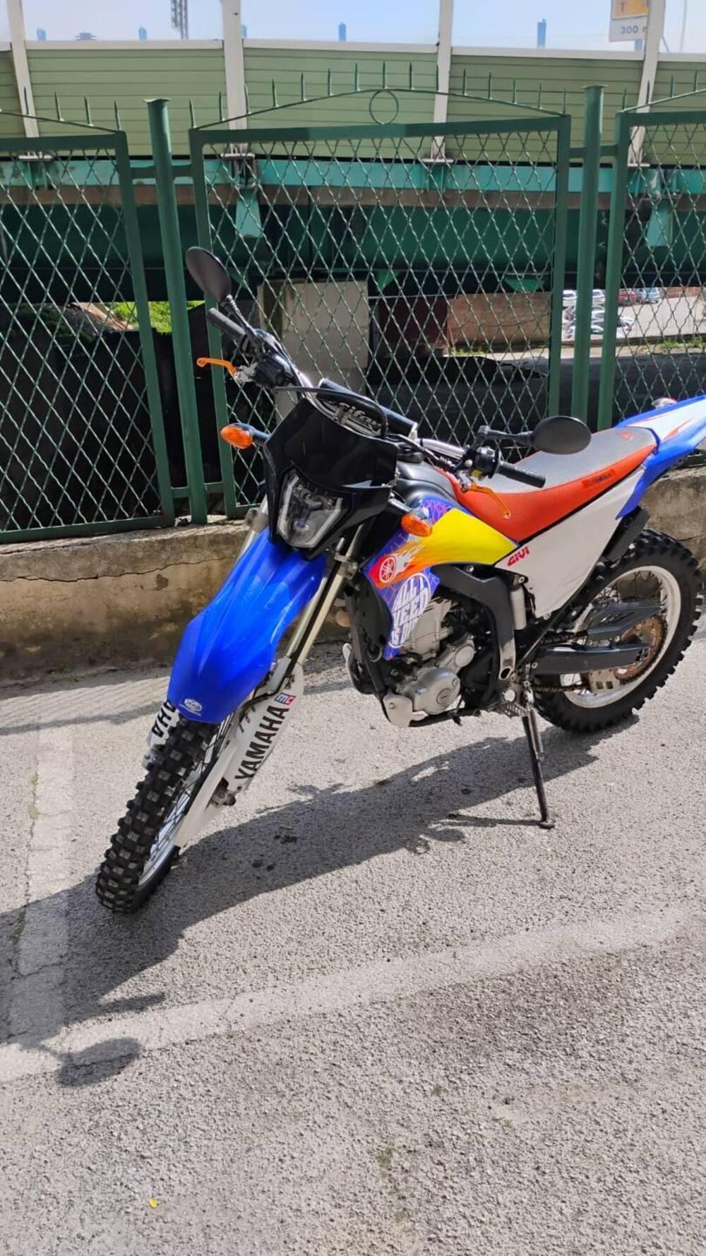 Yamaha WR 250 R (2008 - 13) (3)