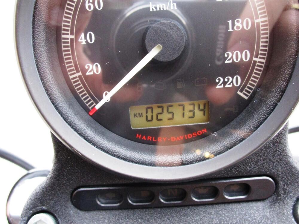 Harley-Davidson 883 Iron (2009 - 11) - XL 883N (7)