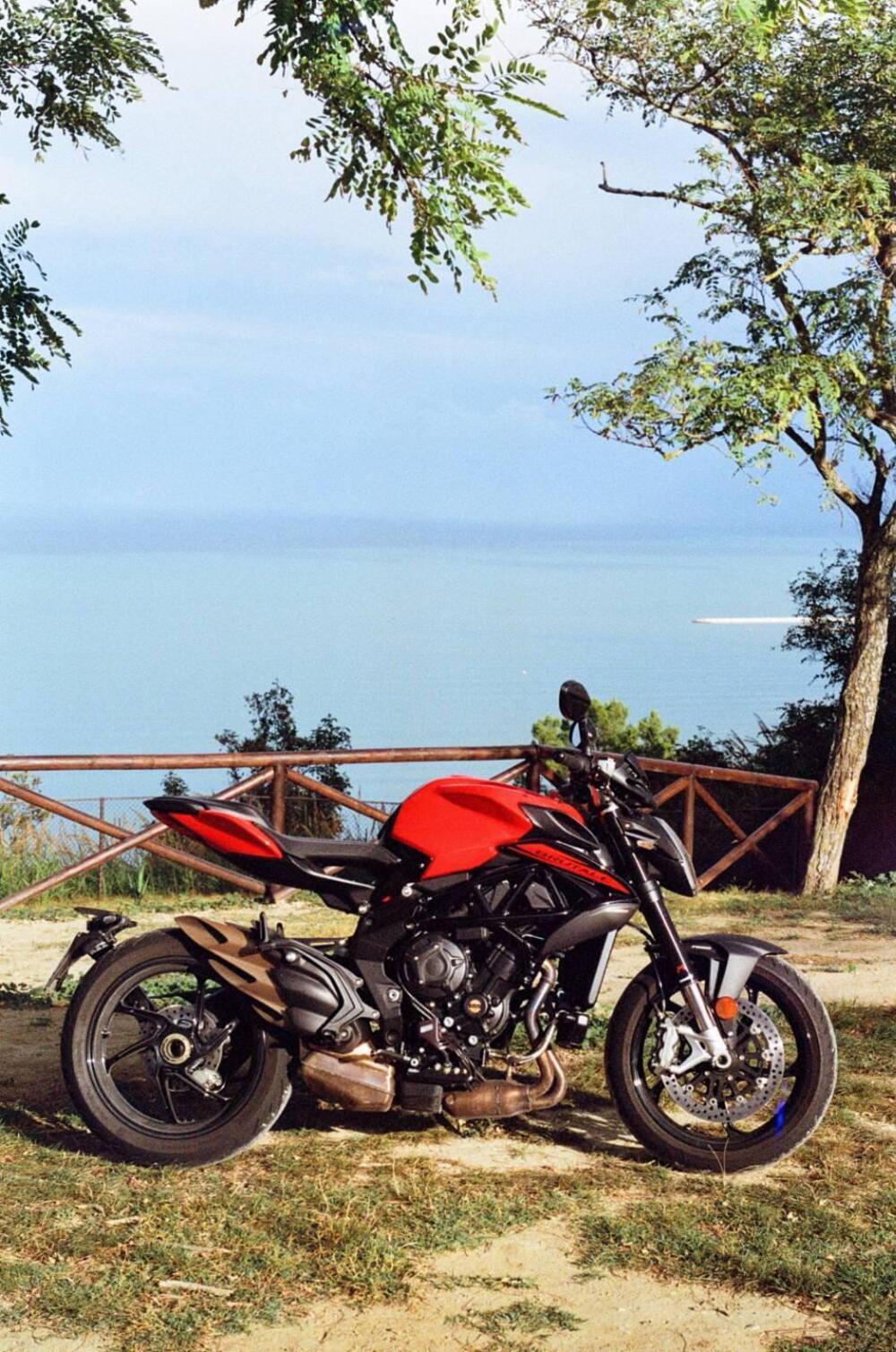 MV Agusta Brutale 800 Rosso (2021 - 23)