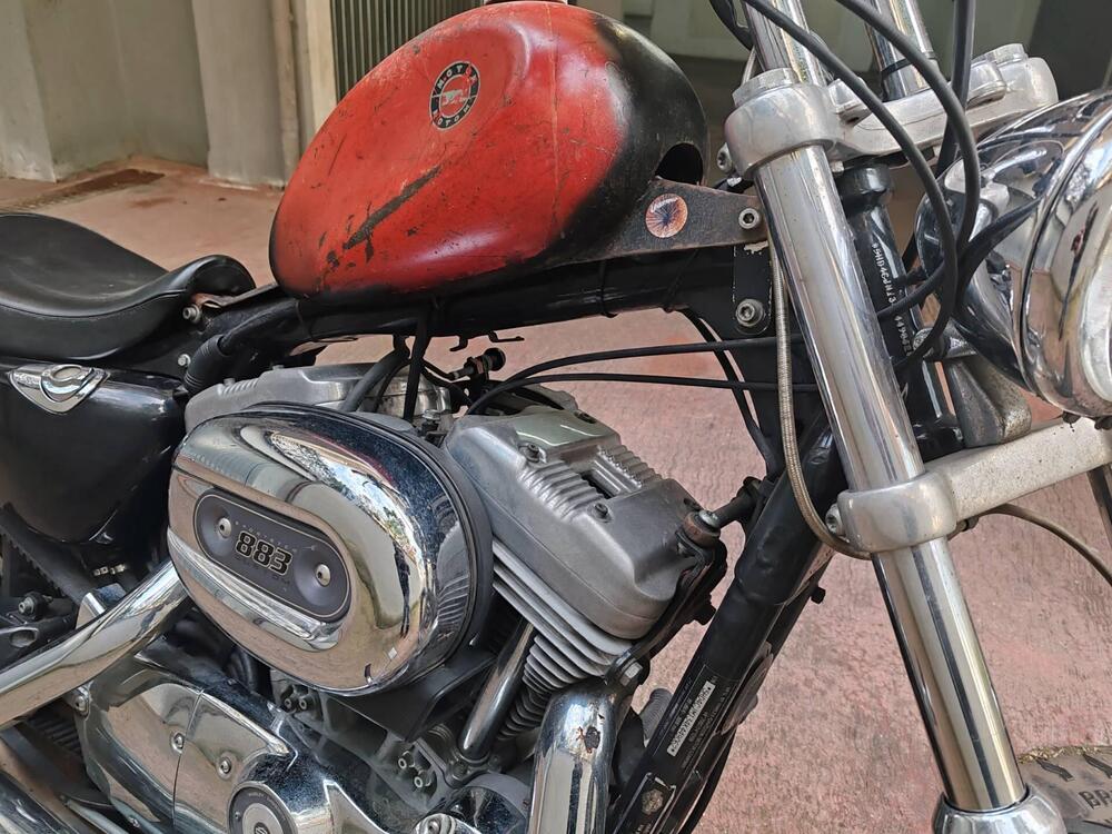 Harley-Davidson 883 Custom (2001 - 05) - XL 53C (5)