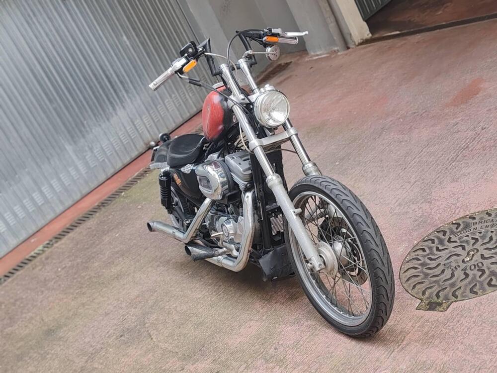 Harley-Davidson 883 Custom (2001 - 05) - XL 53C (13)