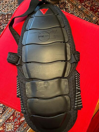 Para schiena con fascia elastica Dainese