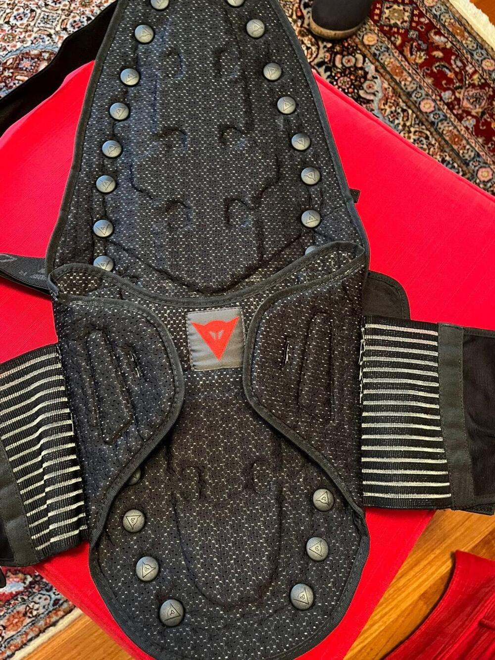 Para schiena con fascia elastica Dainese (6)