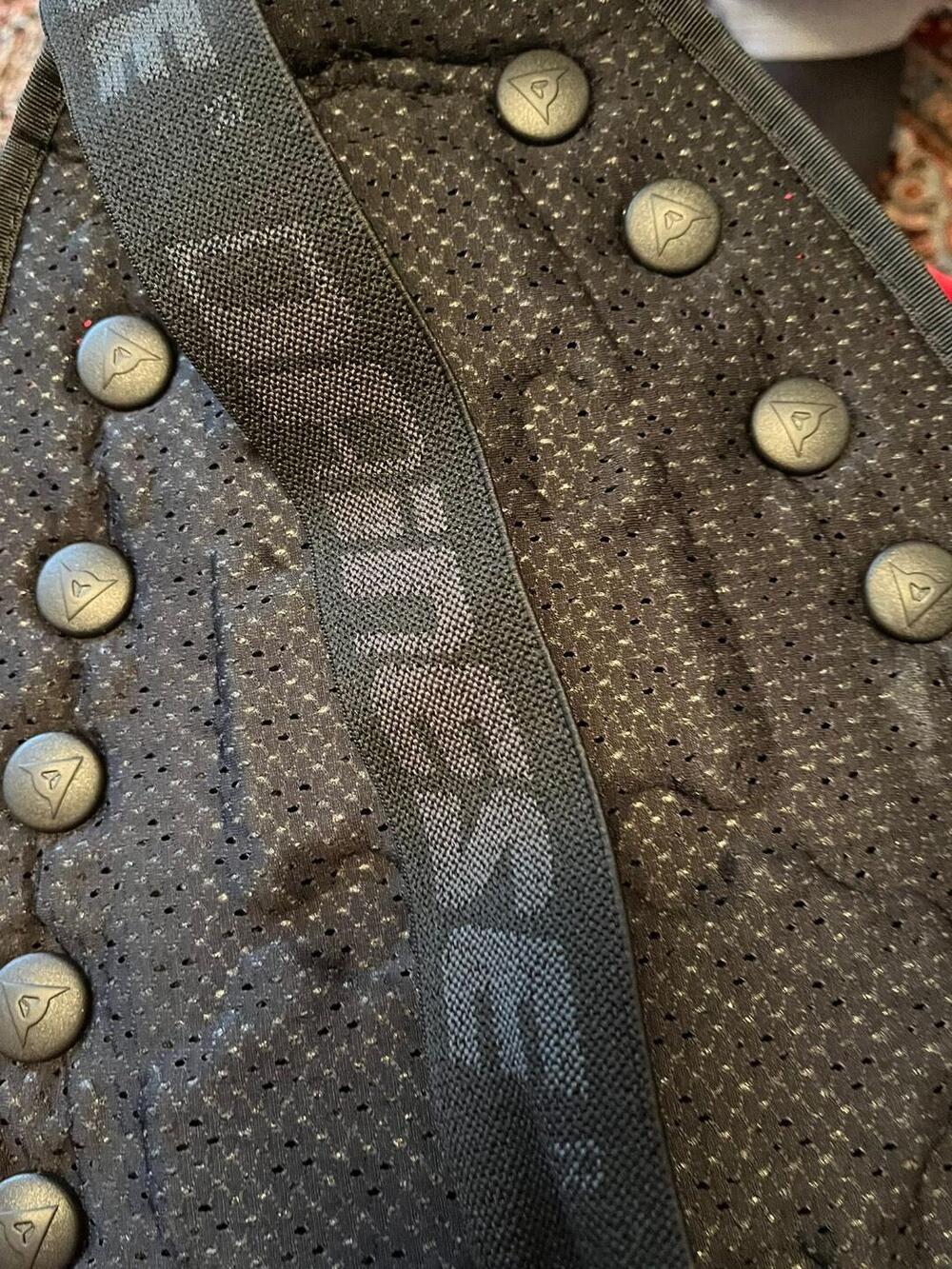 Para schiena con fascia elastica Dainese (7)