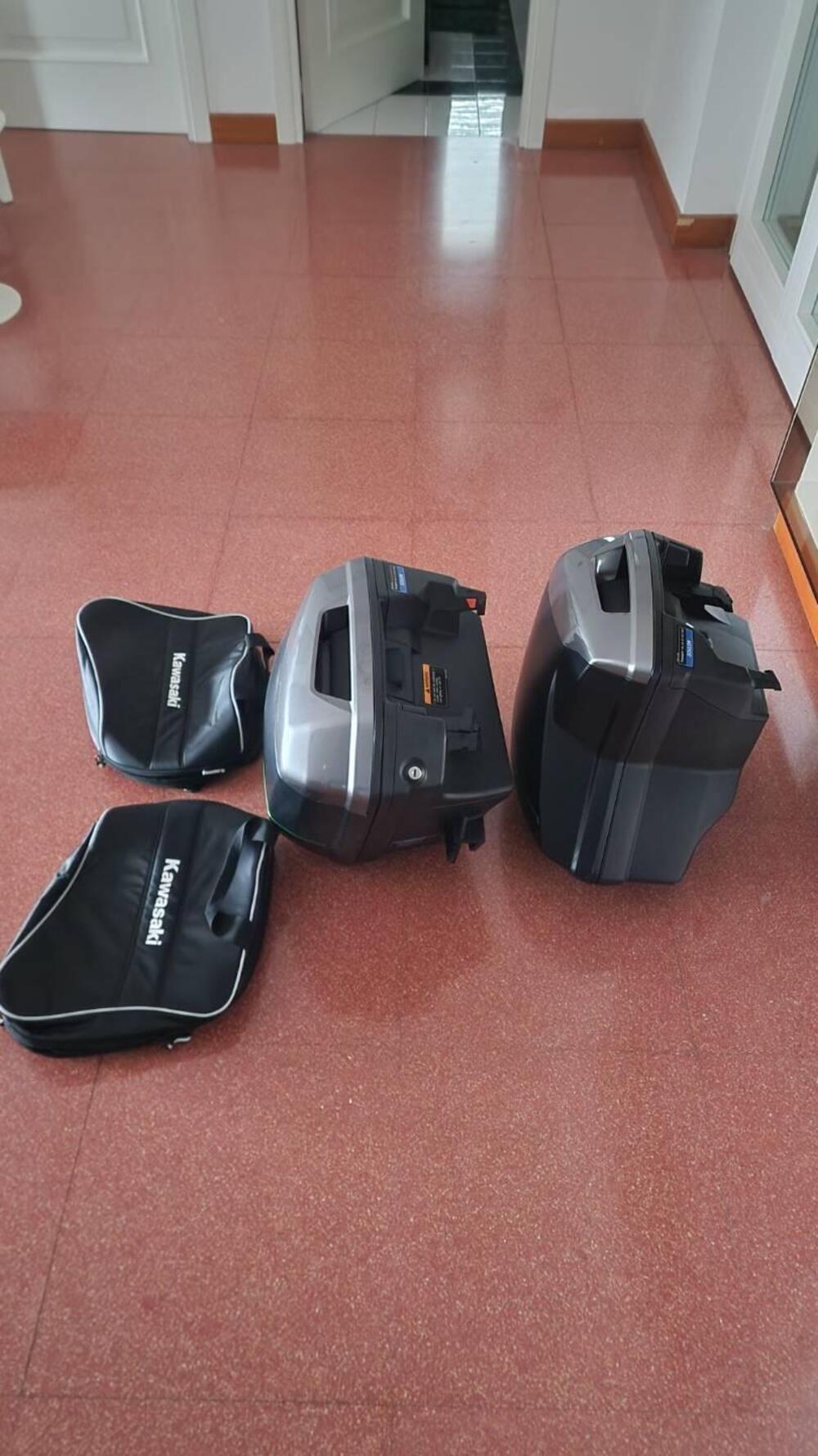 Kawasaki Ninja H2 SX SE+ (2019 - 20) (9)