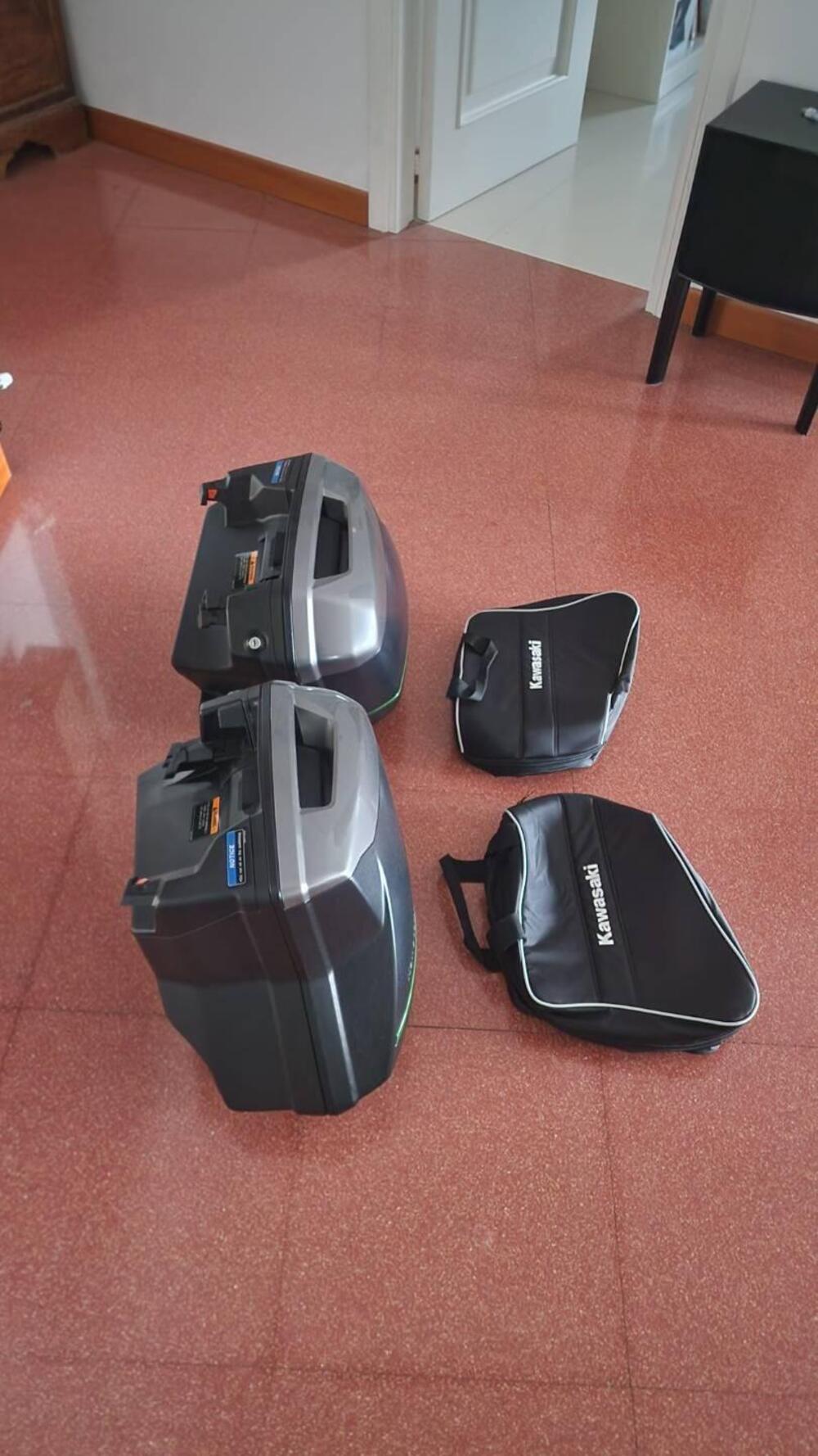 Kawasaki Ninja H2 SX SE+ (2019 - 20) (10)