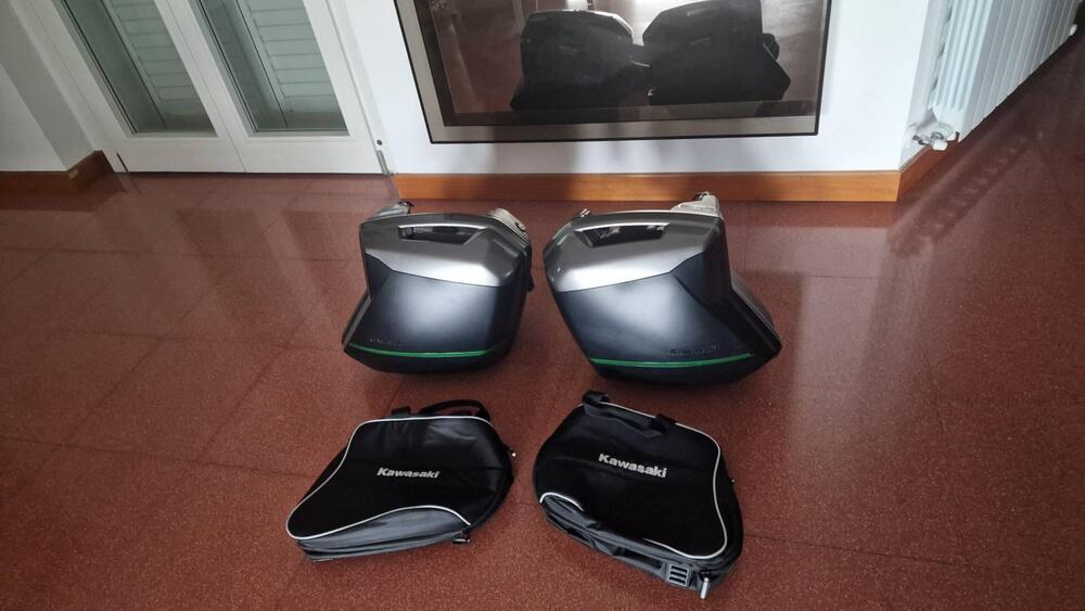 Kawasaki Ninja H2 SX SE+ (2019 - 20) (11)