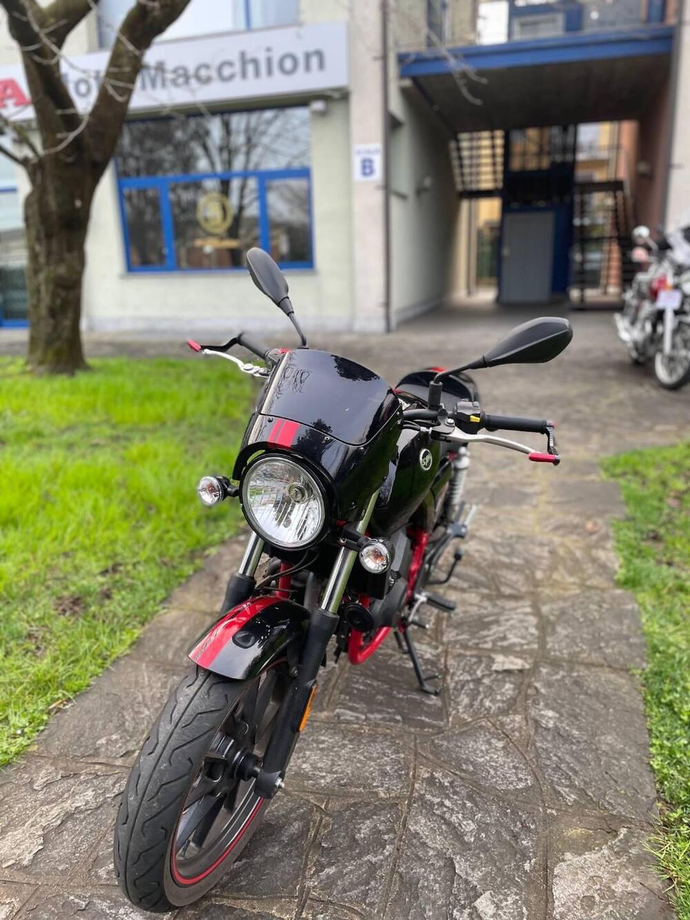 Sym Wolf CR 300 (2019 - 20) (3)
