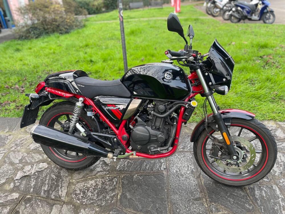 Sym Wolf CR 300 (2019 - 20) (5)