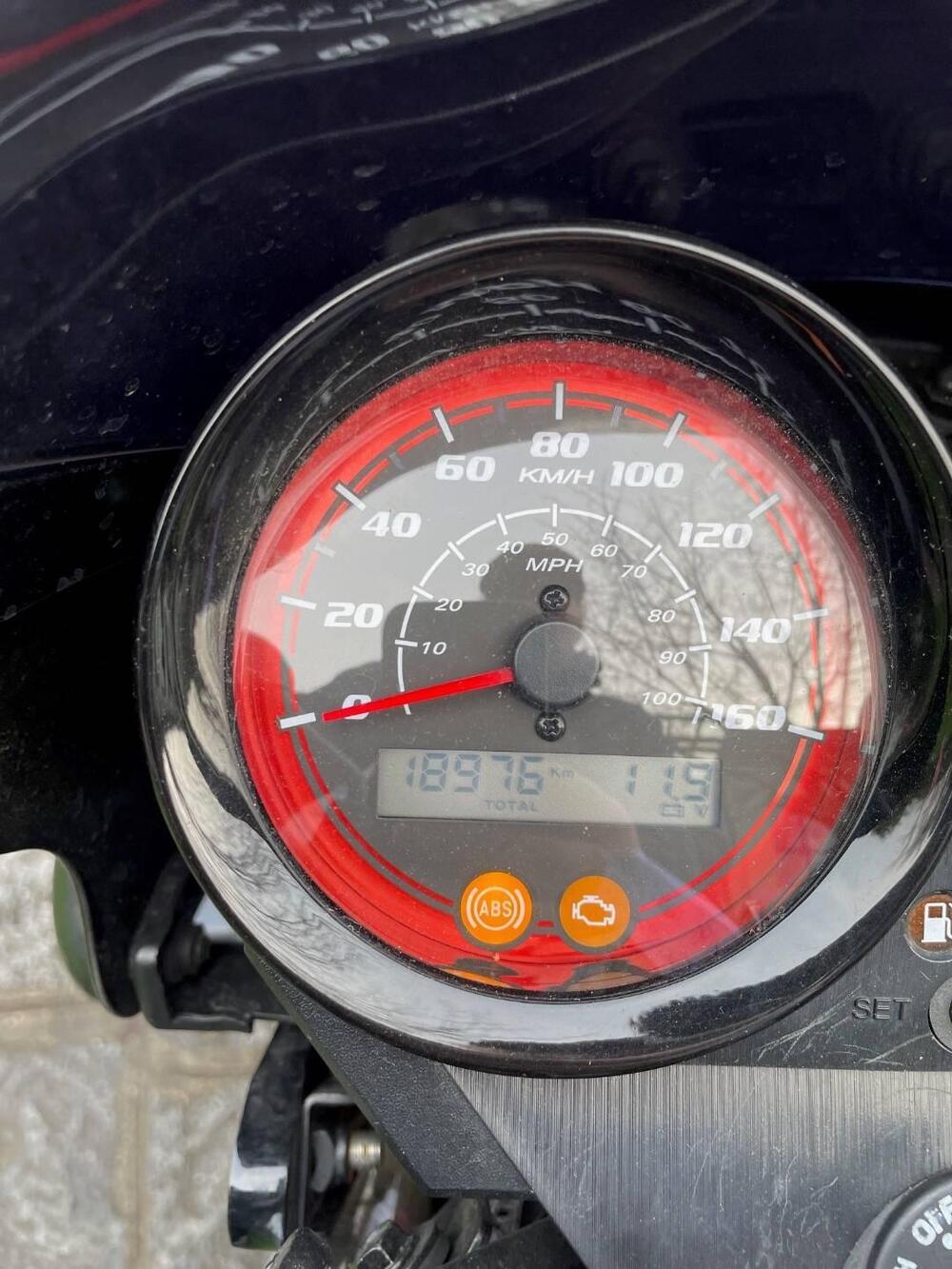 Sym Wolf CR 300 (2019 - 20) (6)