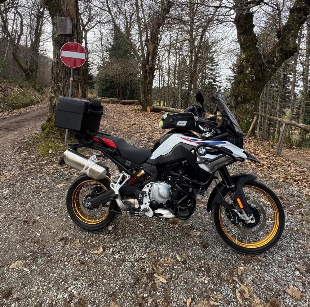 Bmw F 850 GS (2018 - 20) (2)