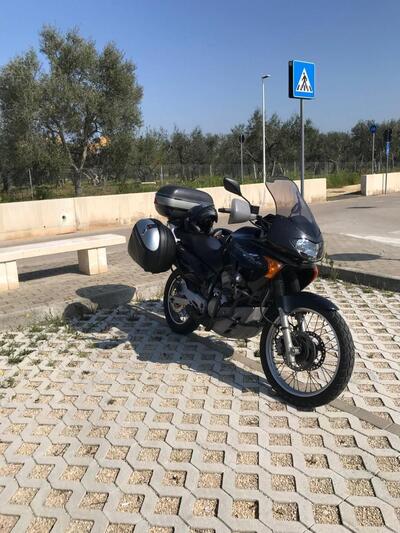 Honda Transalp XL 650V (2000 - 04) usata