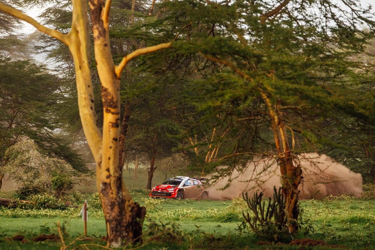 WRC26 #03 Kenya. D1. Solberg prova a sbancare, come al Monte-Carlo [VIDEO]