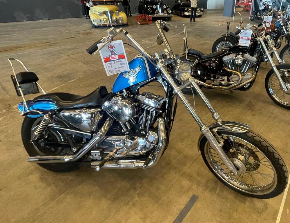 Harley-Davidson 1200 Custom (2001 - 03) - XL 1200C (7)