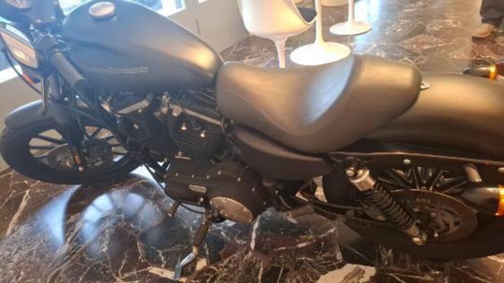 Harley-Davidson 883 Iron (2009 - 11) - XL 883N (5)