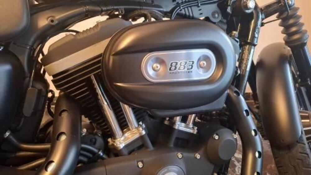 Harley-Davidson 883 Iron (2009 - 11) - XL 883N (6)